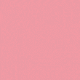 Carnat Pink - S1117
